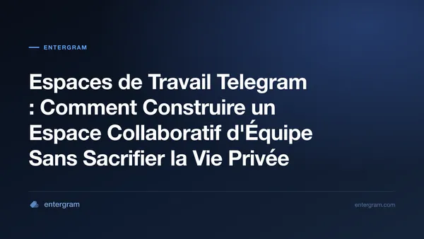 Interface des Espaces de Travail Telegram montrant les fonctionnalités collaboratives d'équipe avec contrôles de confidentialité