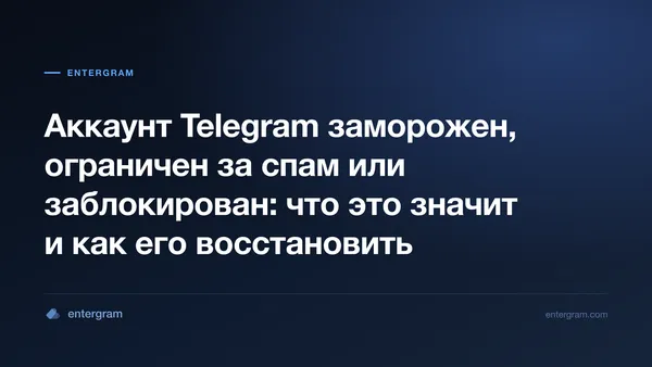 Замороженный аккаунт Telegram в режиме только для чтения со сроком подачи апелляции