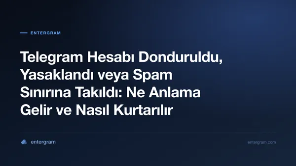 Salt okunur moda geçmiş ve itiraz son tarihi gösteren dondurulmuş bir Telegram hesabı