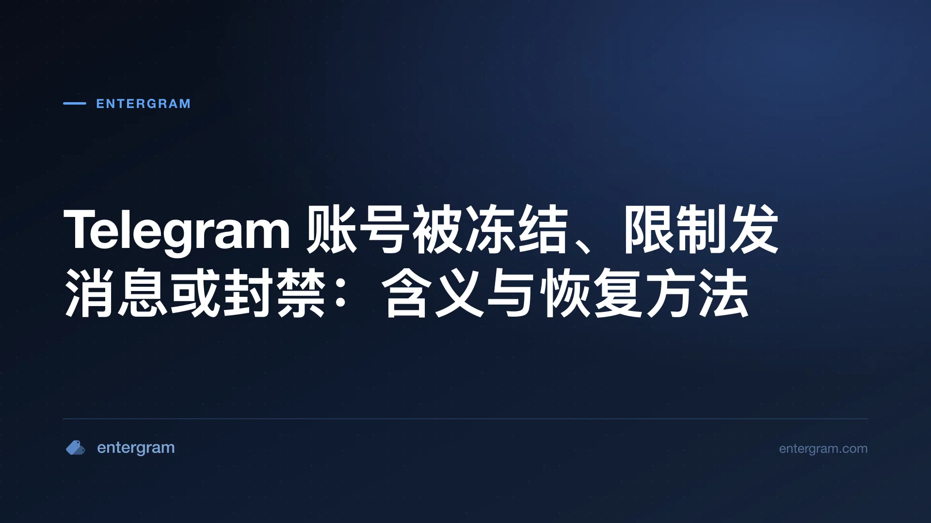 处于只读模式、带有申诉截止日期的被冻结 Telegram 账号