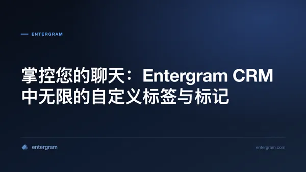 Card image for 掌控您的聊天:Entergram CRM 中无限的自定义标签与标记