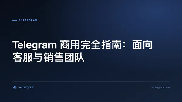 《Telegram 商用：团队完全指南》配图