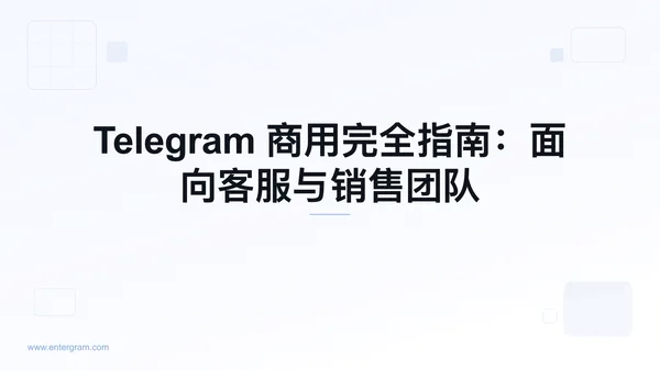 《Telegram 商用：团队完全指南》配图