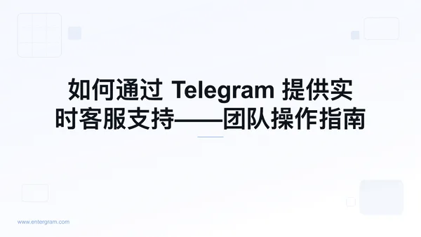 面向客服团队的 Telegram 实时在线支持