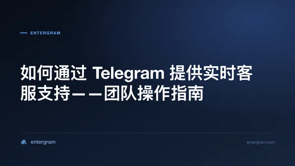 面向客服团队的 Telegram 实时在线支持