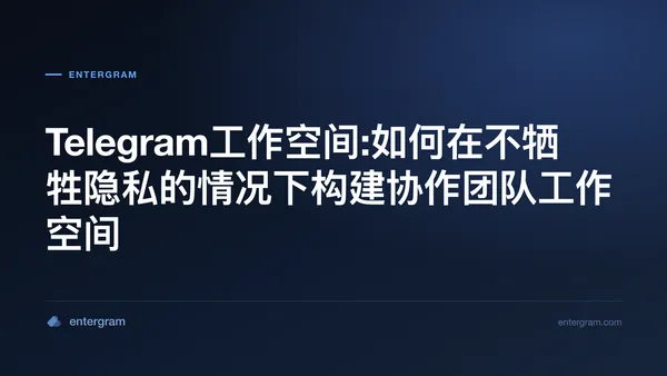 Telegram工作空间界面展示带有隐私控制的协作团队功能