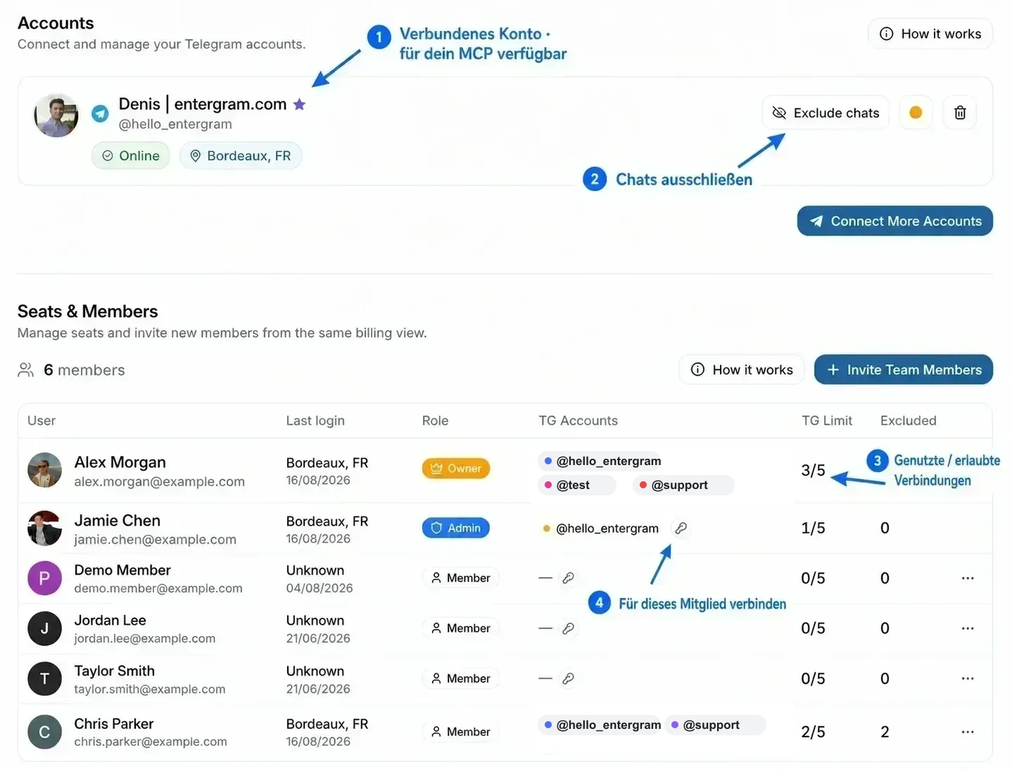 Kommentierte Einstellungen für Accounts und Seats & Members mit den für MCP verfügbaren Verbindungen sowie der Verwaltung von Ausschlüssen und Limits