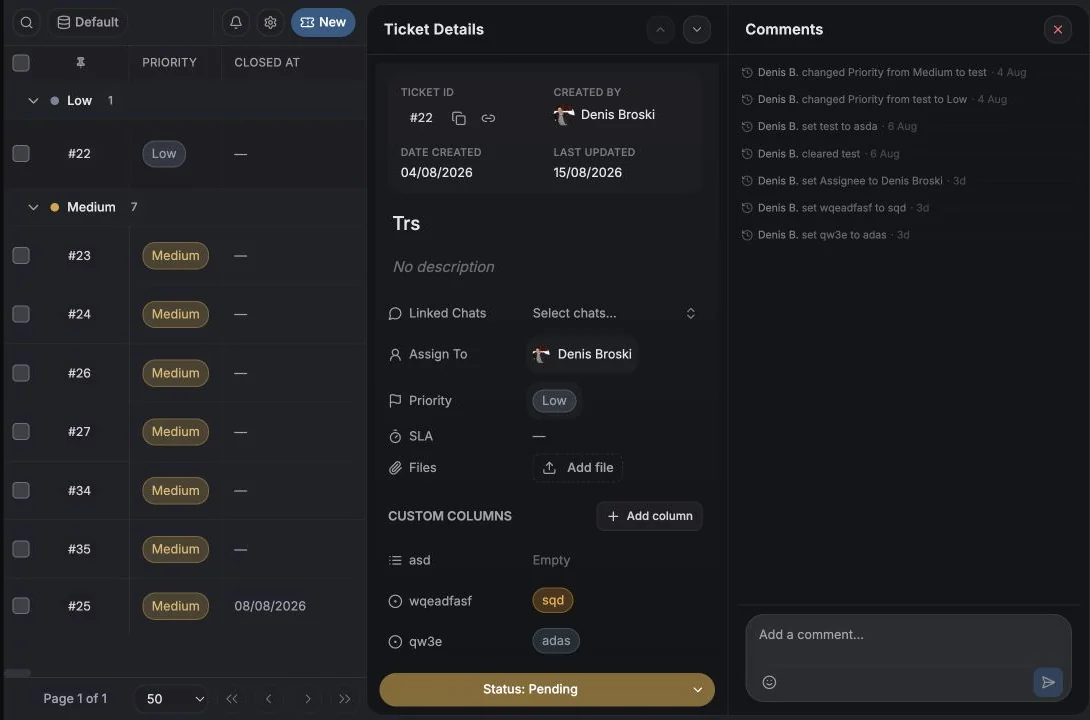 Ticket details panel with fields, assignment, linked chats, files, and activity