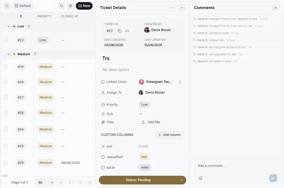 Ticket details panel with fields, assignment, linked chats, files, and activity