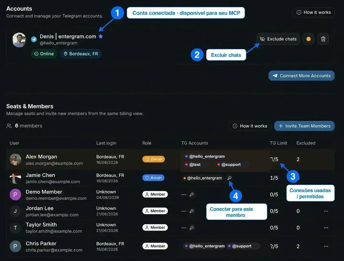 Configurações de Accounts e Seats & Members anotadas, mostrando quais conexões estão disponíveis para o MCP e onde gerenciar exclusões e limites
