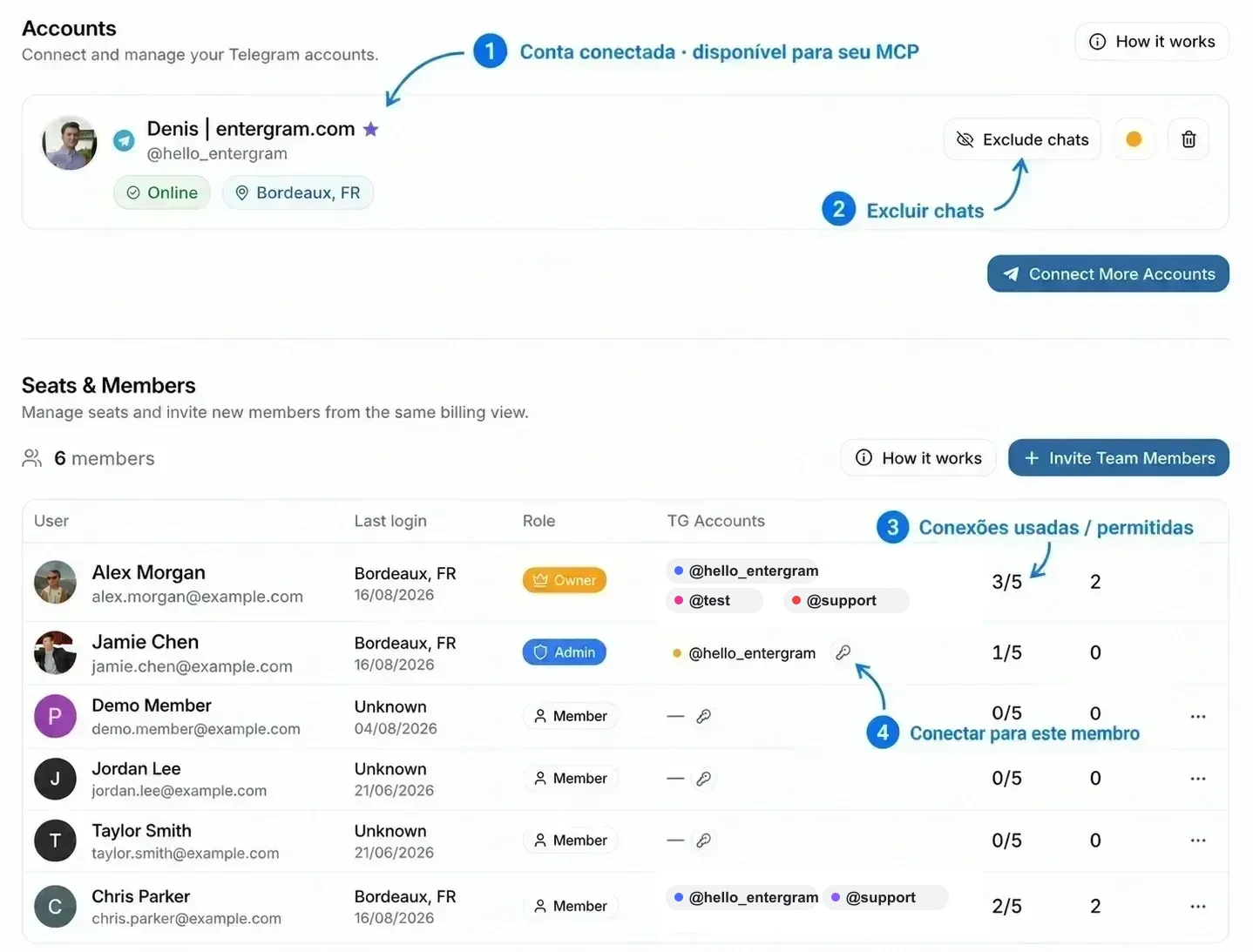 Configurações de Accounts e Seats & Members anotadas, mostrando quais conexões estão disponíveis para o MCP e onde gerenciar exclusões e limites