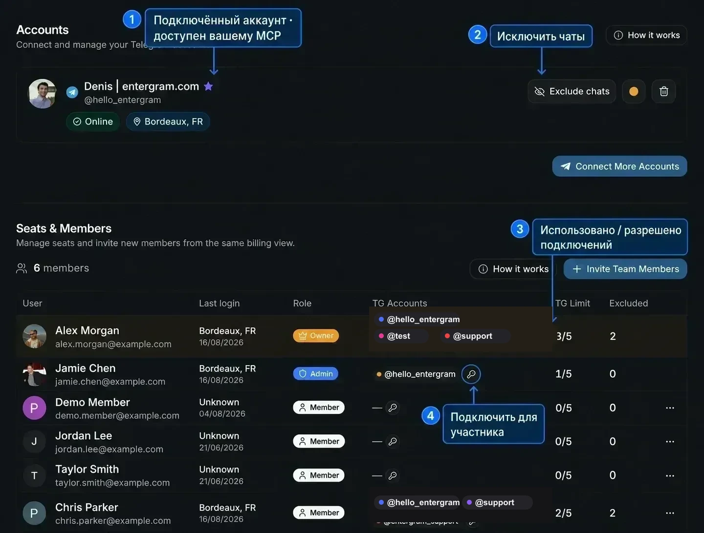 Настройки Accounts и Seats & Members с пояснениями о том, какие подключения доступны MCP и где управлять исключениями и лимитами