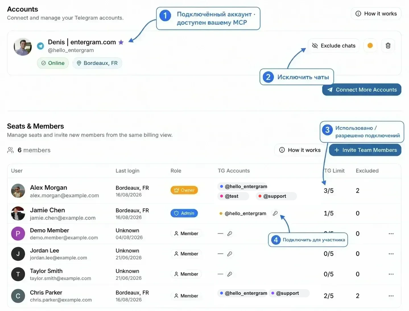 Настройки Accounts и Seats & Members с пояснениями о том, какие подключения доступны MCP и где управлять исключениями и лимитами