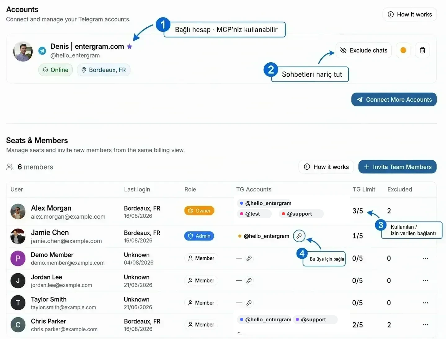 MCP'nin hangi bağlantıları kullanabileceğini ve hariç tutmaların ve sınırların nerede yönetileceğini gösteren, açıklamalı Accounts ve Seats & Members ayarları